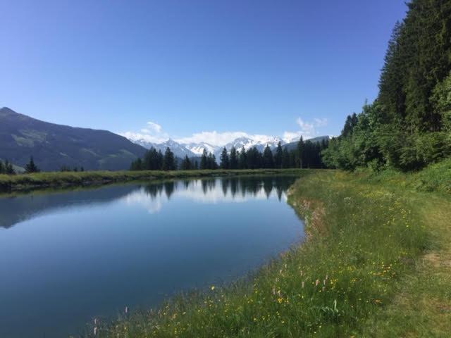 ヨッホベルクResidenz Am Bergアパートメント エクステリア 写真